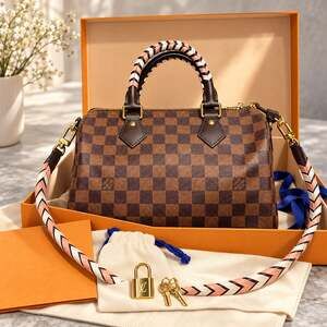 Louis Vuitton Braided Speedy Bandouliere 25 Damier Ebene N40450